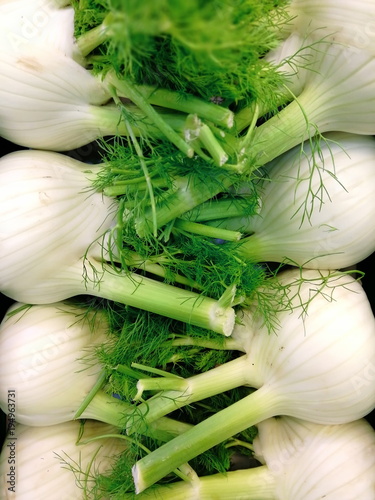 Fresh Fennel on a market