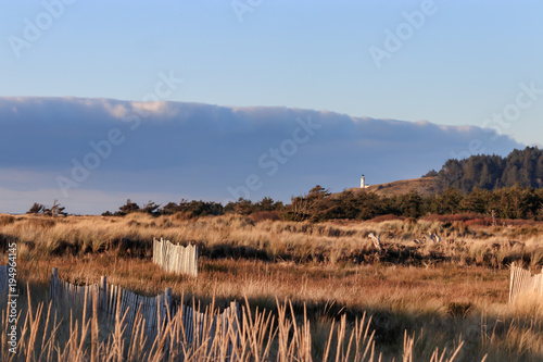 lighthouse and grass on dunes photo