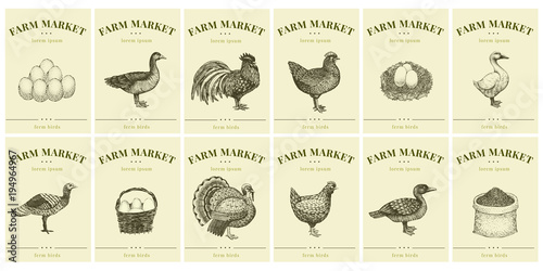 Labels with farm birds and eggs. Set templates price tags for shops and markets of organic food. Vector retro illustration art. Hand drawn nature objects.