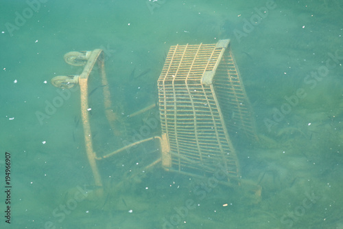 shopping cart dumped in water