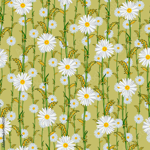 Seamless pattern from field chamomiles in the style of Provence. Autumn