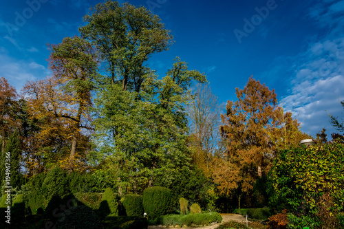 Arboretum w Bolestraszycach 