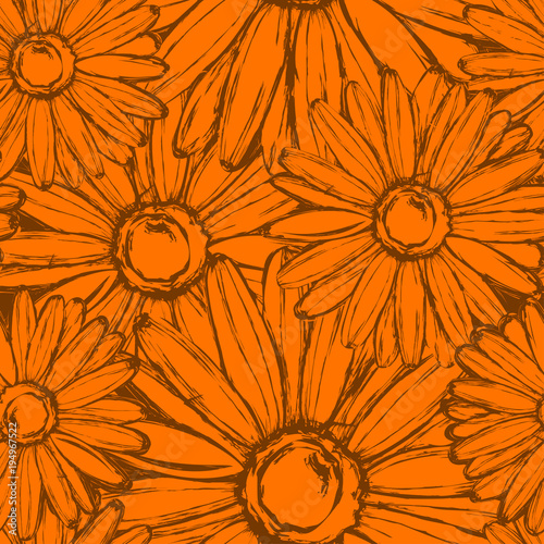 Seamless pattern of flowers marigold in orange tones