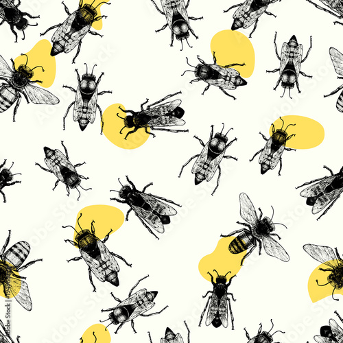 Vector retro hand drawn seamless vector pattern with crawling bees. Vintage style. Inteligent illustration © lubovchipurko