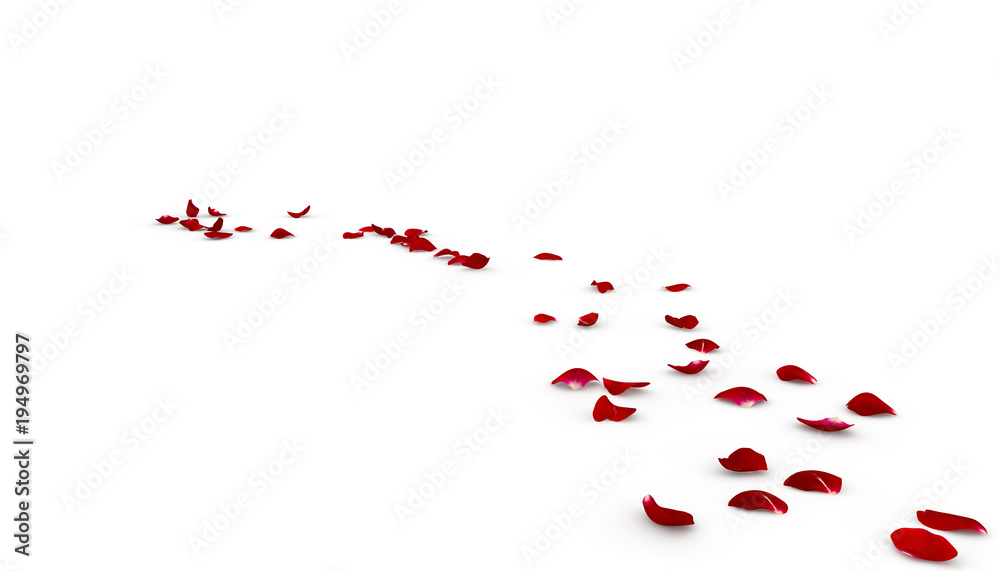 Rose petals fall to the floor Rose petals fall to the floor