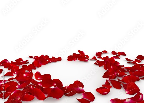 Red rose petals scattered on the floor. In the center an empty space for Your design