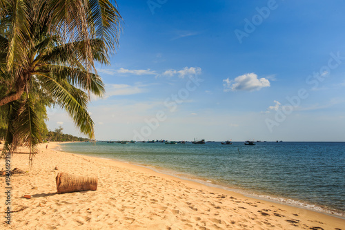 Fototapeta Naklejka Na Ścianę i Meble -  Palms Bend over Sand Beach against Sea under Sunlight