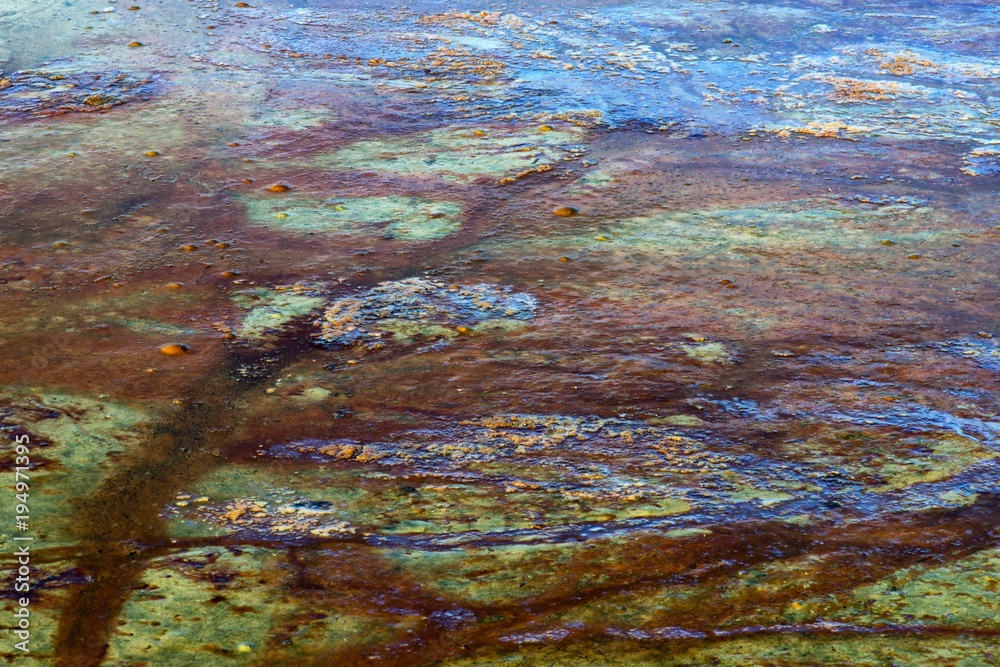 Eau ferrugineuse de l'étang de Varax à SaintPauldeVarax, Ain, France — free download