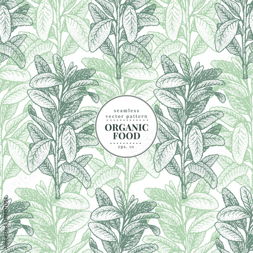 Sage. Vector seamless pattern for design menu, packaging and recipes. Hand drawn vintage illustration. Botanical banner template.