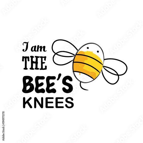 I am the bee's knees vector for t shirt printing and embroidery for girls, Graphic tee and printed tee