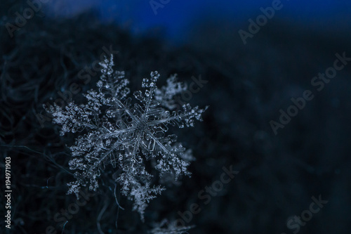 Beautiful snowflake, a single ice crystal in a sufficient size, falls through the Earth's atmosphere as snow. Often in shining hexagonal crystals shape, used as a symbol of snow or crystal in science