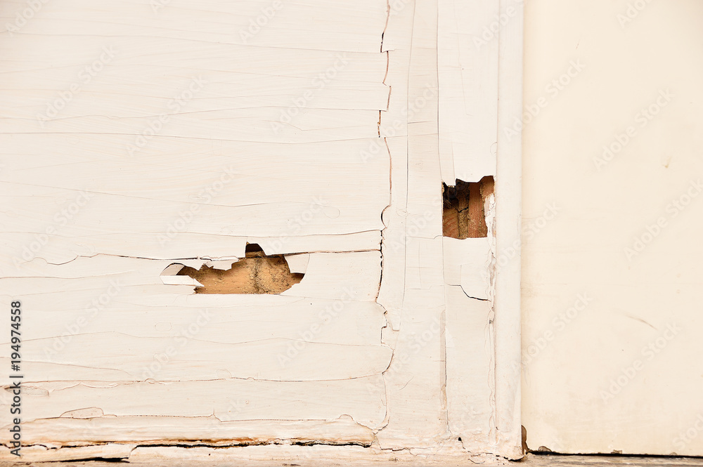 Obraz premium Termite eat wooden door