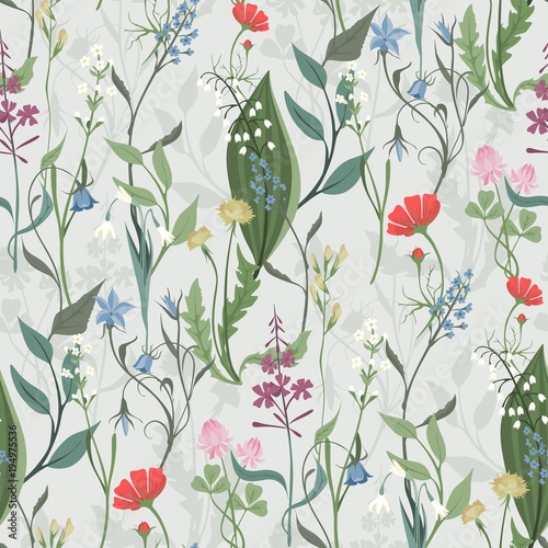 Herbs and Wild Flowers vector seamless pattern of botany texture bdckground illustrations vintage flowes images