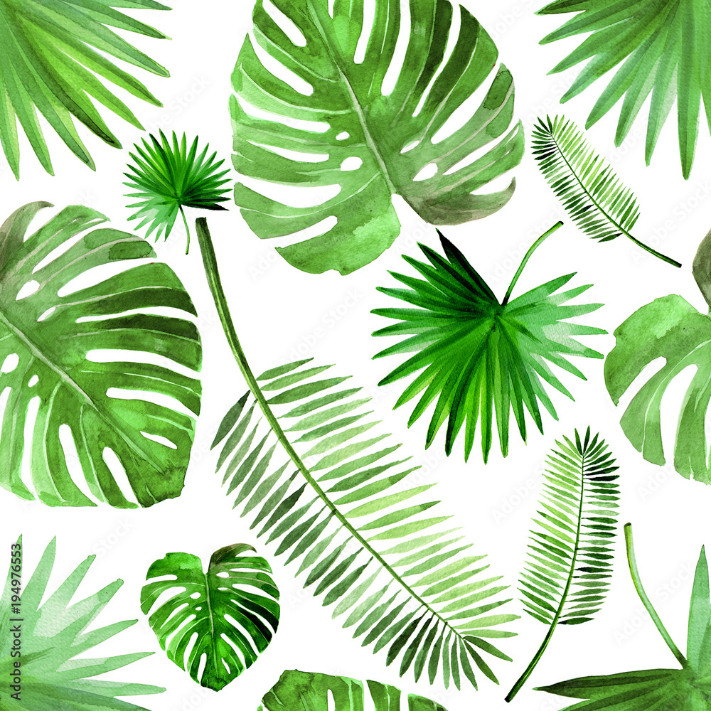 Tropical green beach palm leaf set watercolor illustrated
