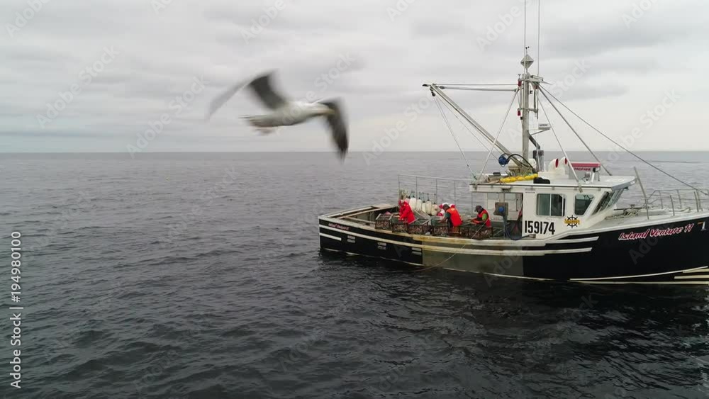 Aerial shot commercial ocean fishing boat checking their lobster traps