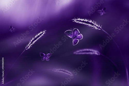 Ultraviolet natural fashionable background. Butterflies in flight.