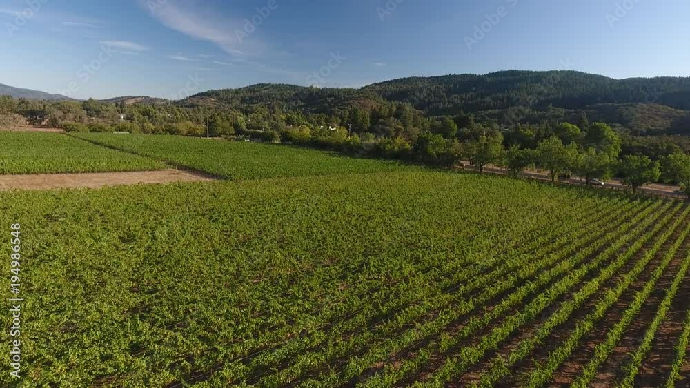 Aerial Drone Shot of a Vineyard in Sonoma Valley Aerial Drone Shot of a Vineyard in Sonoma Valley