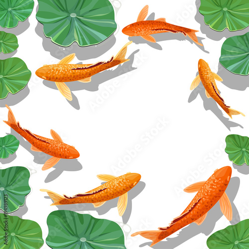 Carps Koi fish under water. Underwater view with space for text. Vector illustration.