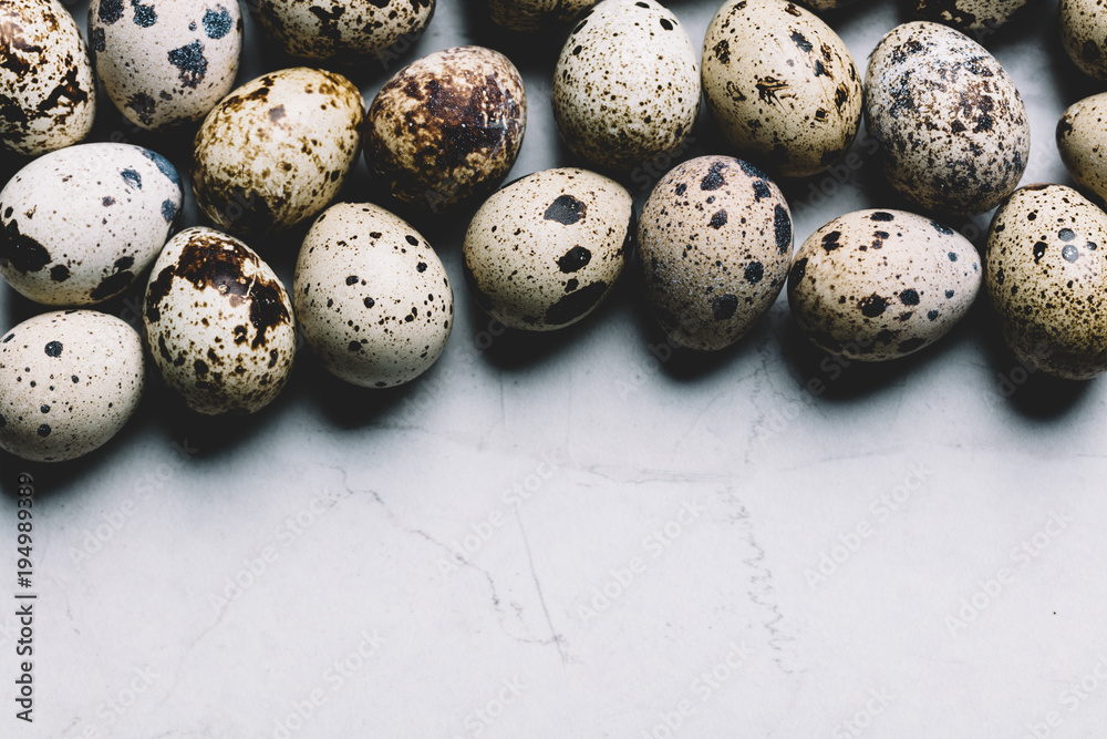 Obraz premium Spotted quail eggs on white marble background.