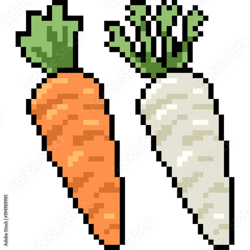 vector pixel art carrot radish