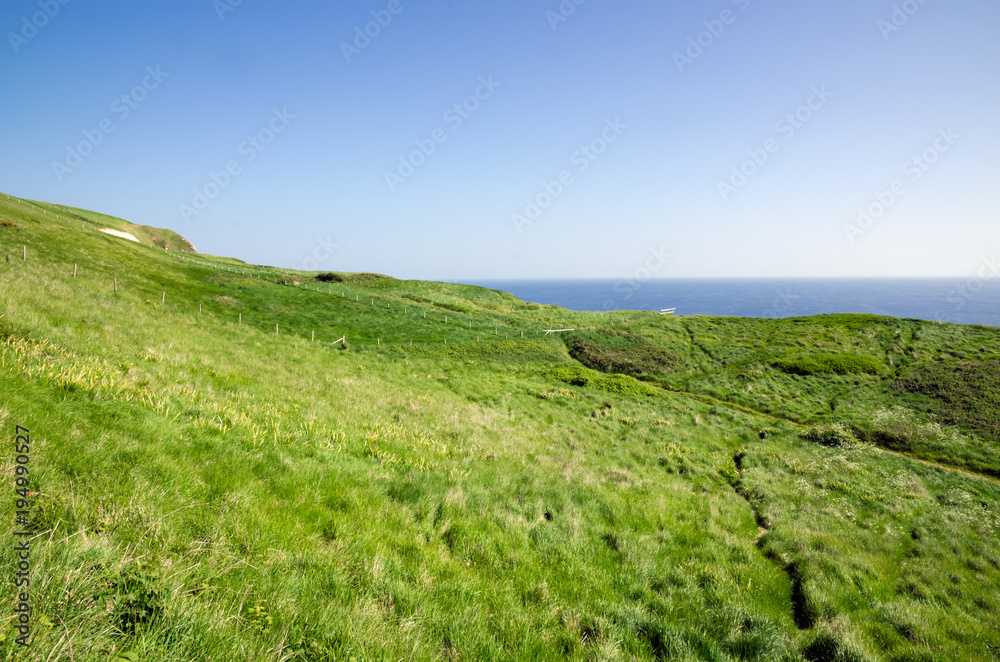 Hill And Meadow Of The Coast Of Jurassic Coast