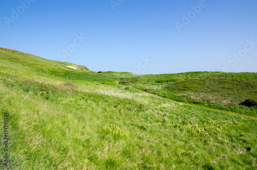 Hill And Meadow Of The Coast Of Jurassic Coast