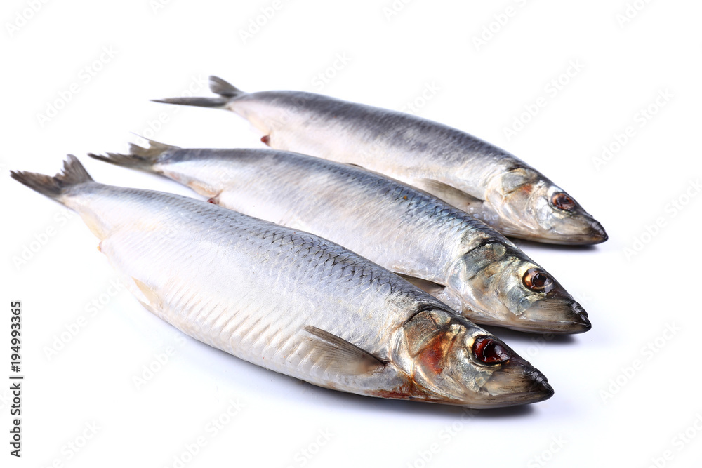 Three Herring fish on a white background  (isolated). Close up