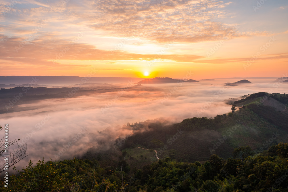 Obraz premium Sunrise and the mist in winter morning