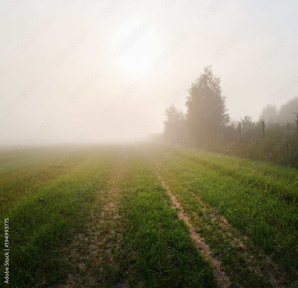 Field in the dense morning fog. Mist over the meadow. Field in the dense morning fog. Mist over the meadow.