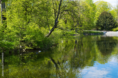 Lake in the park in spring time. Lazienki Krolewskie  Warsaw  Poland