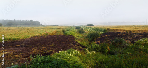 Arable land and thickets of grass in the fog. Foggy field landscape. Panorama shot.