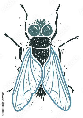 Housefly linocut linocut illustration, draw, ink, vector
