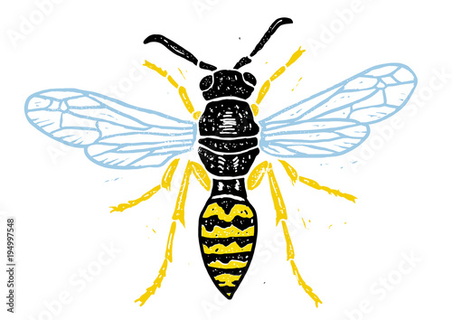 Wasp linocut linocut illustration, draw, ink, vector