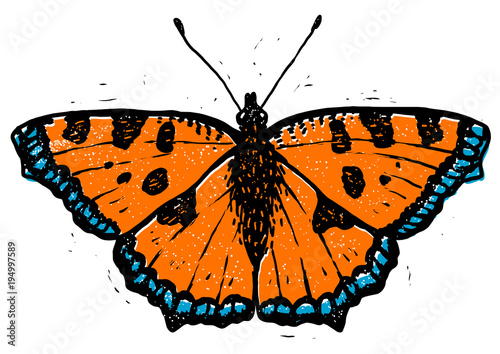 Tortoiseshell butterfly linocut illustration, draw, ink, vector