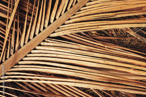 Dry palm leaf for background.