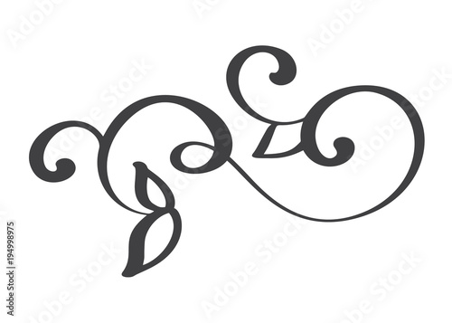 hand drawn flourish Calligraphy elements. Vector illustration