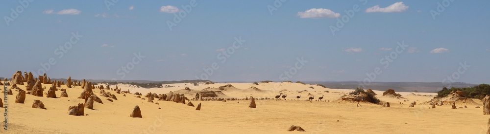 Australian desert