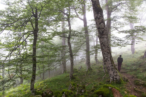 Woman  in green Forest in fog
