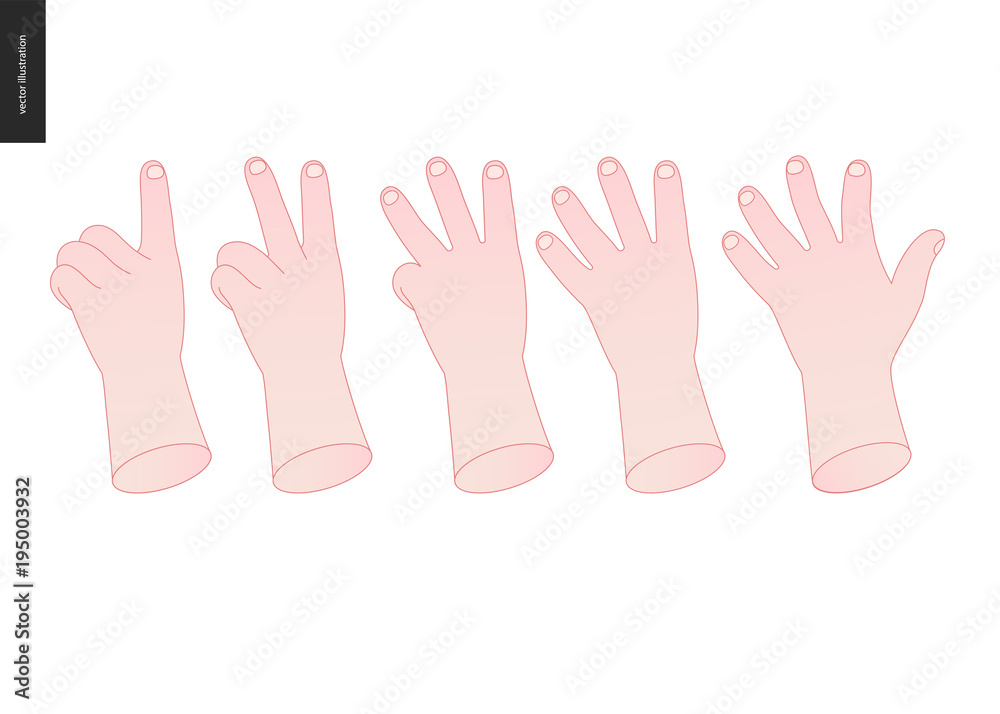 The vector illustrated set of outlined hand drawn hands with various gestures The vector illustrated set of outlined hand drawn hands with various gestures