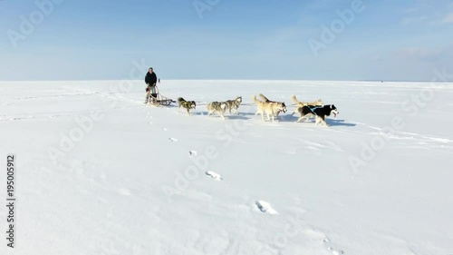 Aerial: Training sled dogs on a frozen bay in winter