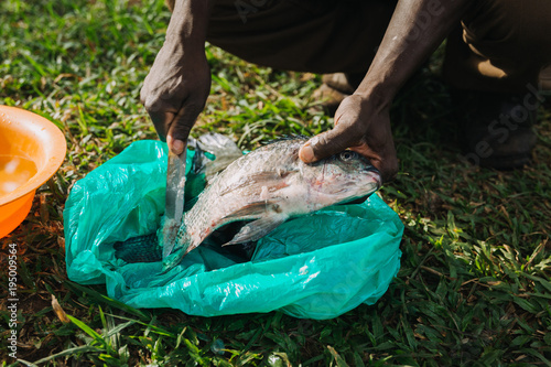 fisherman cutting fish in Uganda