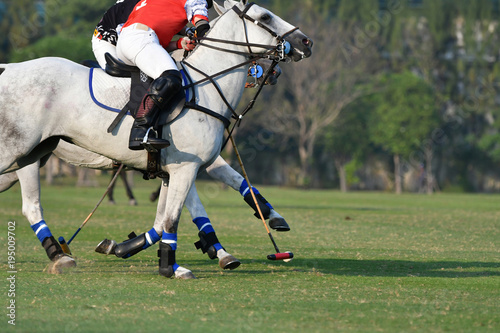 polo players are competing in the field