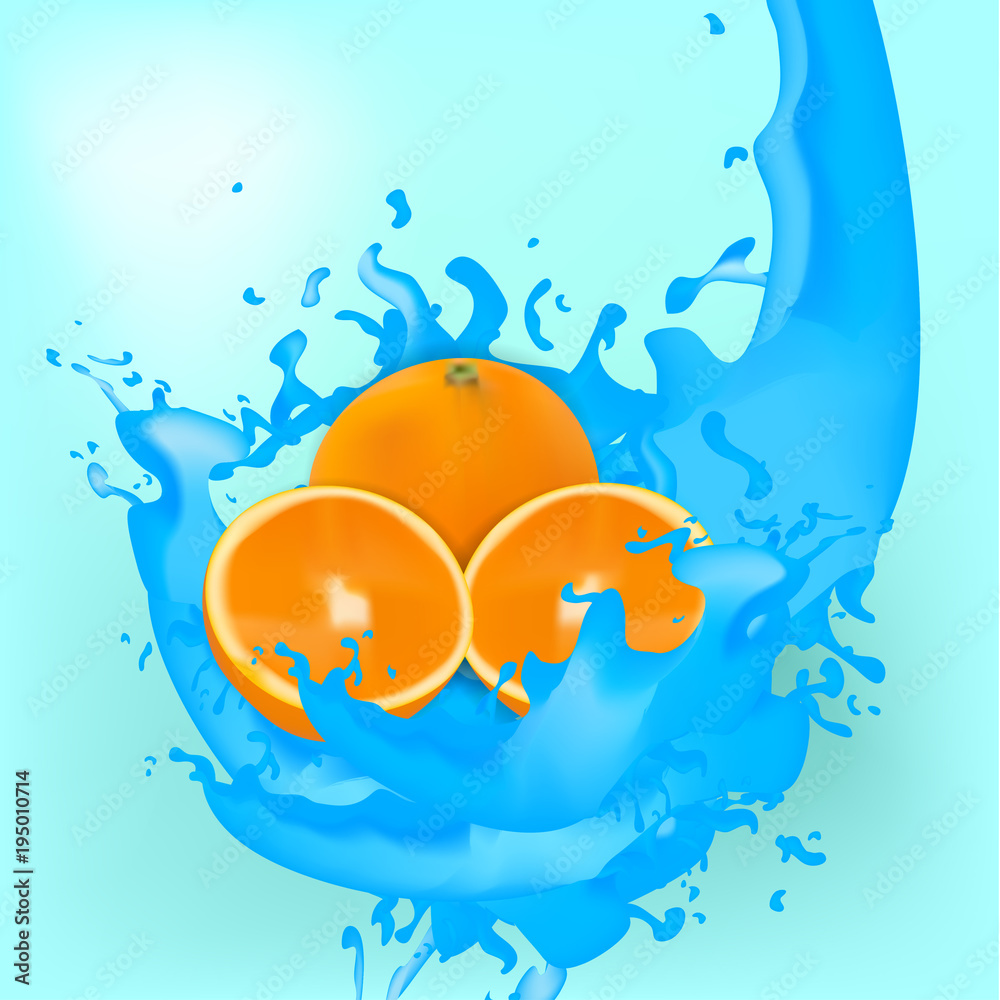 fresh orange illustration fresh orange illustration