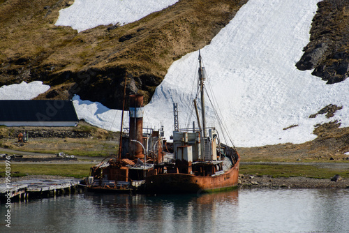 Old whaling rusty ships on Grytviken, South Georgia photo