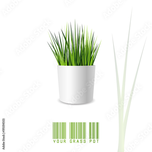 Green grass pot in minimal style and colors isolated on white background. Vector illustration of a small office or indoor plant with white pot and shadow.