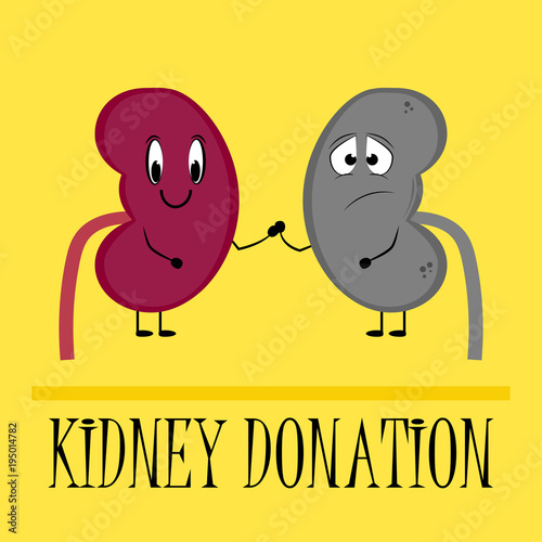 Donation of kidneys.