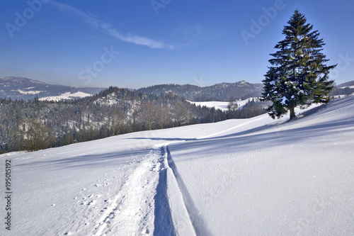 Winter landscape in Pieniny mountains, Poland