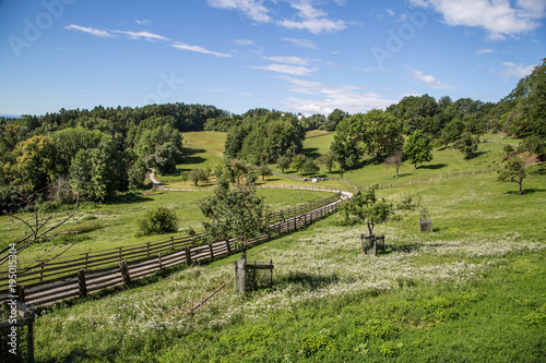 Hügel Landschaft im Frühling