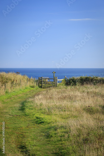 Footpath leading to stile, Marloes Bay Pembrokeshire Wales.