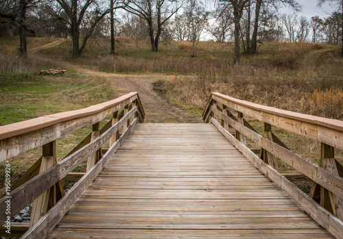 Wooden bridge in woods